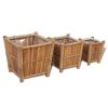 Raised Bed Set 3 Pieces Bamboo with Nylon Lining