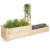 Raised Garden Bed with Trellis