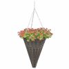 Hanging Flower Baskets 2 pcs Poly Rattan Gray