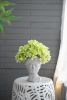 Greek Style Cement Head Planter - Indoor Outdoor Home Garden Decor, D6" x 9"