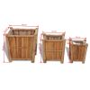 Raised Bed Set 3 Pieces Bamboo with Nylon Lining