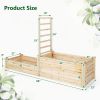 Raised Garden Bed with Trellis