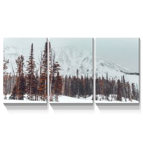 3 Panels Framed Winter Forest Canvas Wall Art Decor,3 Pieces Mordern Canvas Decoration Painting for Office,Dining room,Living room, Bedroom Decor-Read (Color: as Pic)